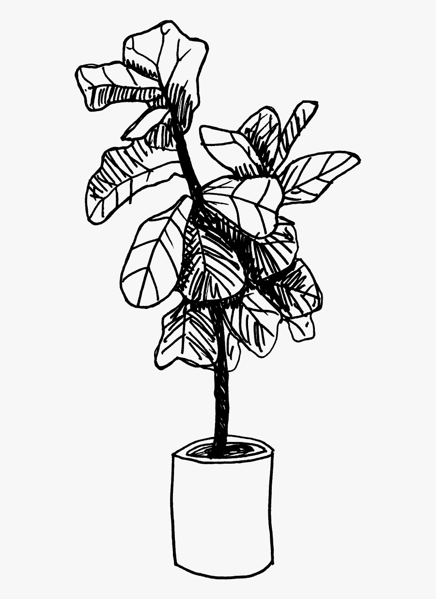 Orchid, Transparent Clipart