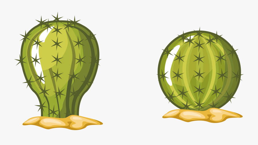Succulent Clipart Hand Painted - Barril De Oro Planta Dibujo, Transparent Clipart