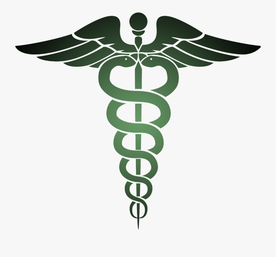 Dr Logo Green Colour, Transparent Clipart