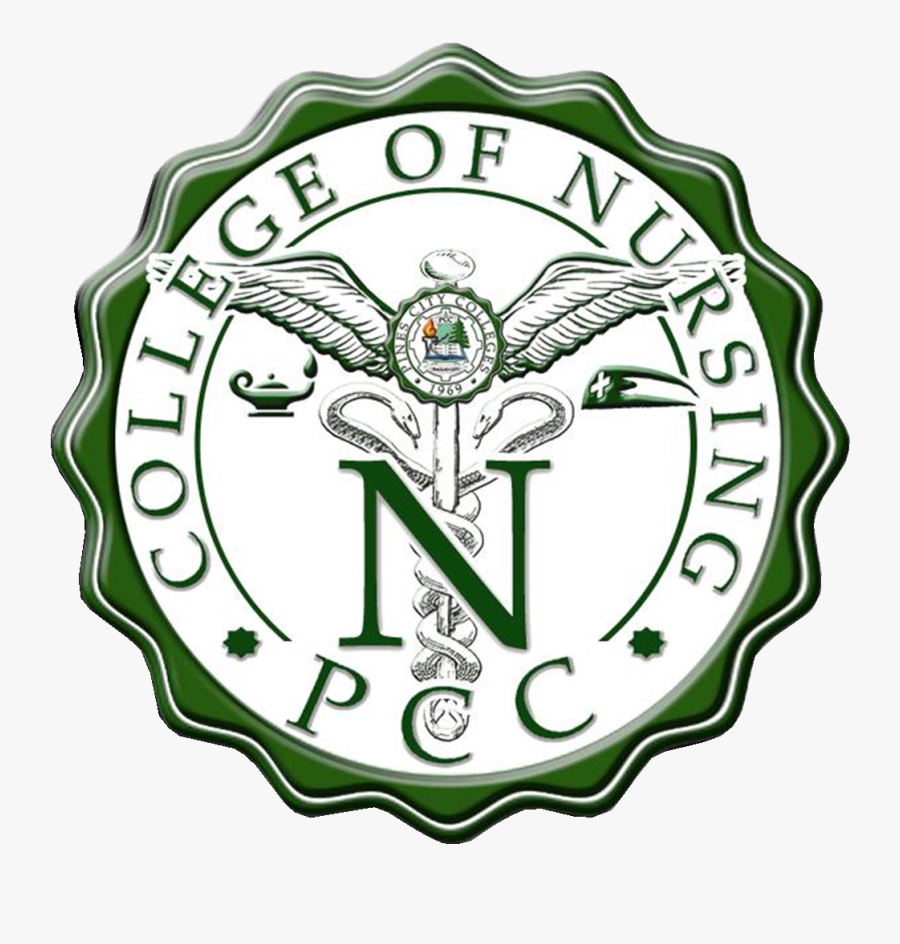 Pines City Colleges College Of Nursing, Transparent Clipart