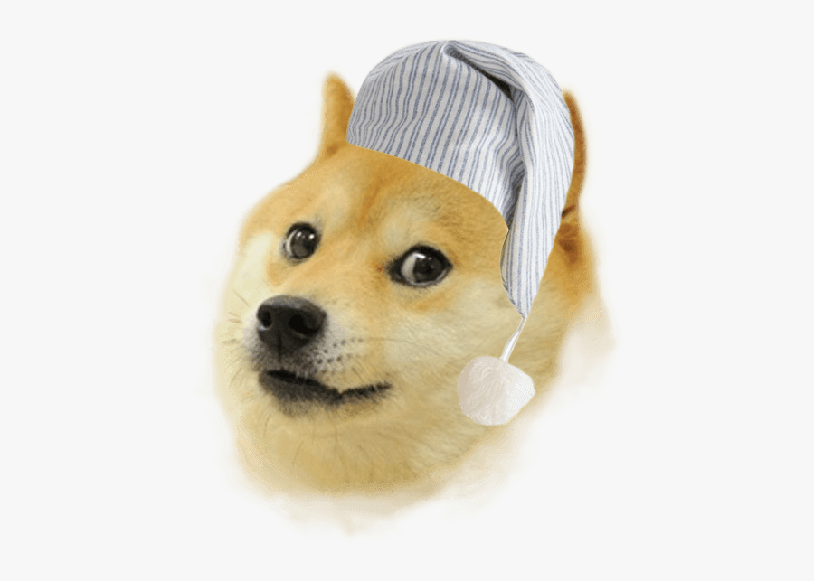 Sleepy Doge - Doge Png, Transparent Clipart