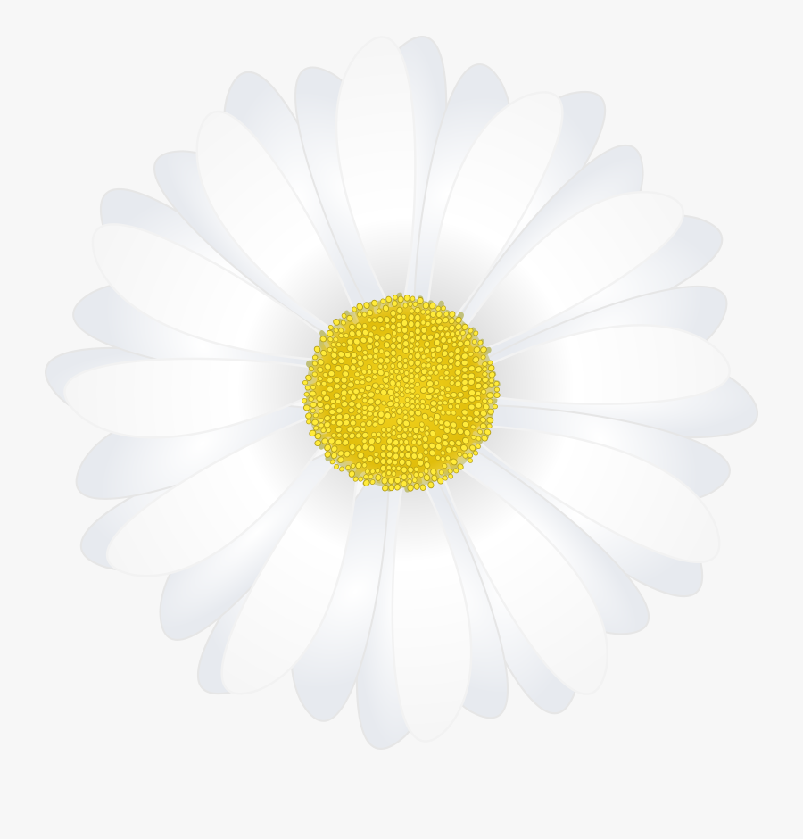 Daisy Clipart Png, Transparent Clipart