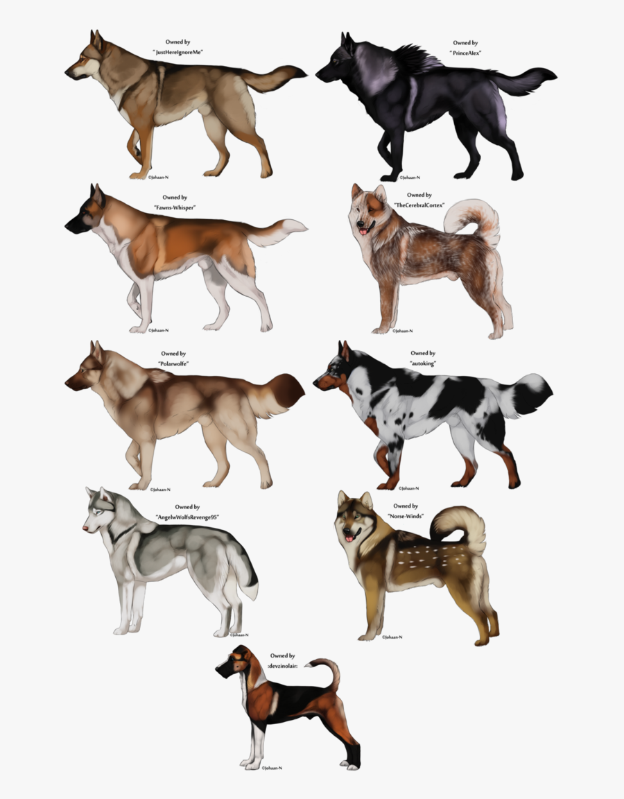 Transparent Doge Png - Anime Dog Art, Transparent Clipart