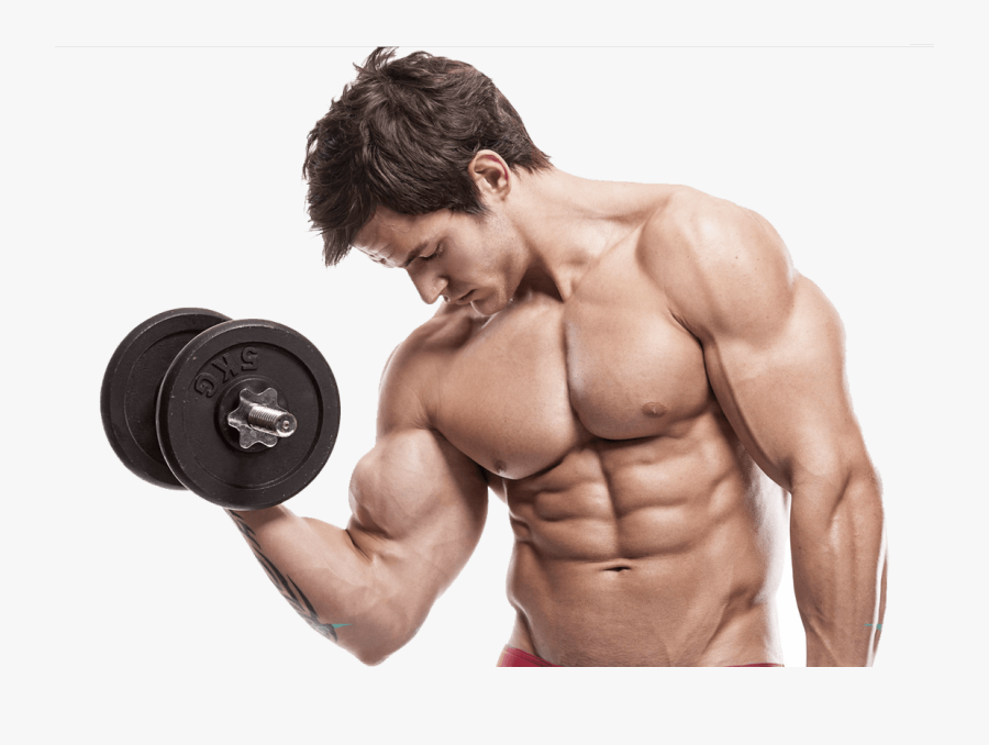 Bodybuilding Png - Build Muscle, Transparent Clipart