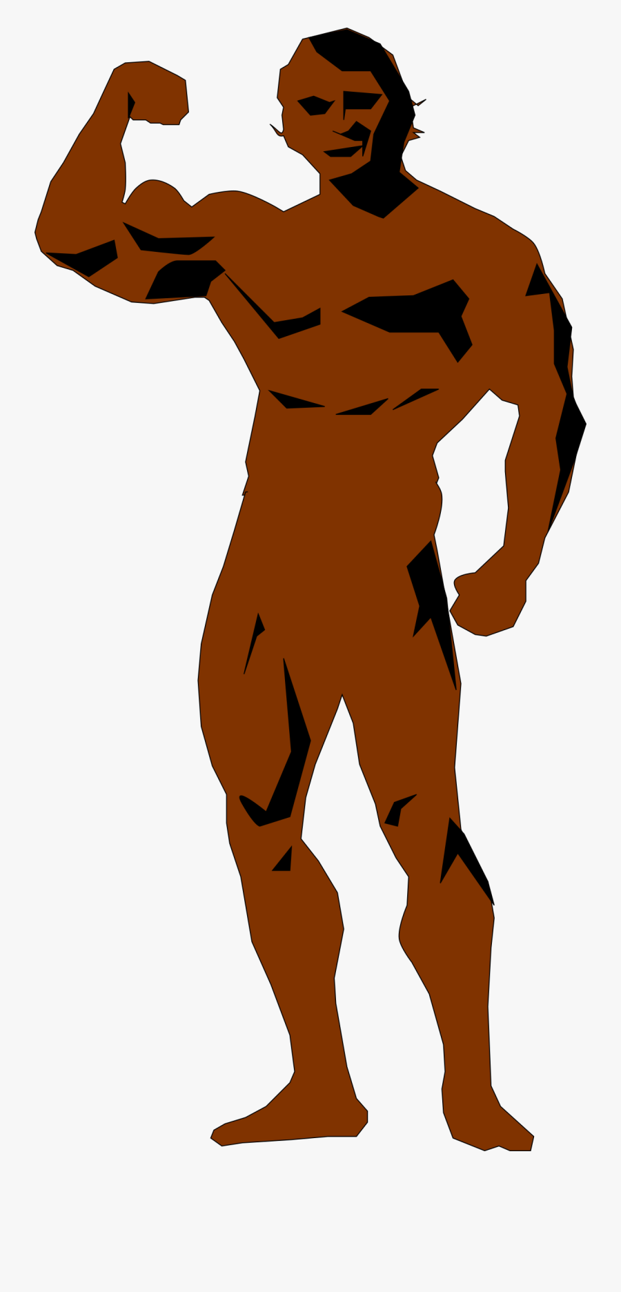 Bodybuilding Fitness Centre Clip Art - Body Clipart Transparent Png, Transparent Clipart