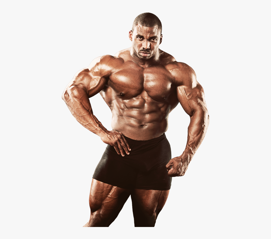 Bodybuilding Png - Bodybuilder Png, Transparent Clipart