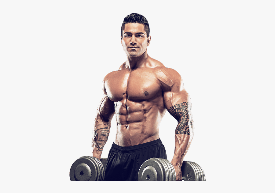 Bodybuilding Png - Muscletech Testosterone Before And After, Transparent Clipart