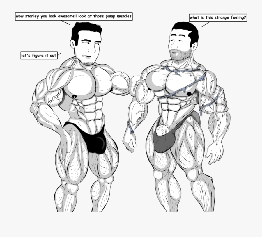 Biceps-curl - Salvador503 Gay Muscle Growth, Transparent Clipart