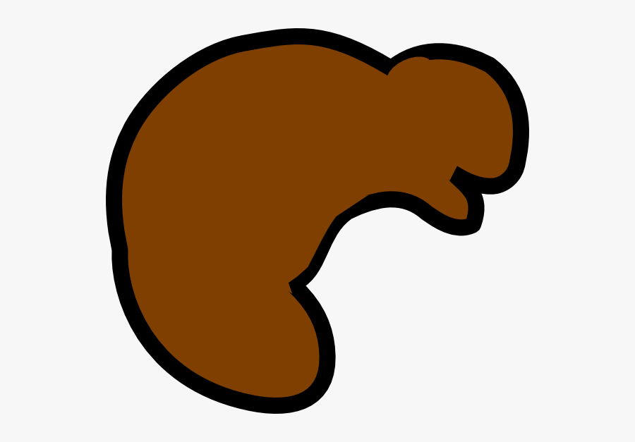 Cartoon Beaver Pelt, Transparent Clipart