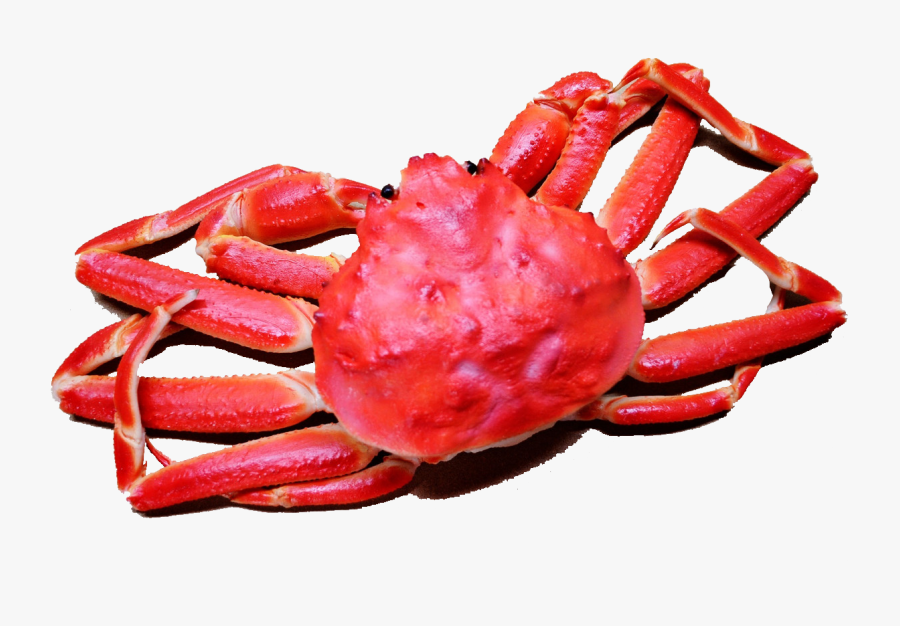 Lobster Clipart Snow Crab - Crab Clapping Claws Gif, Transparent Clipart