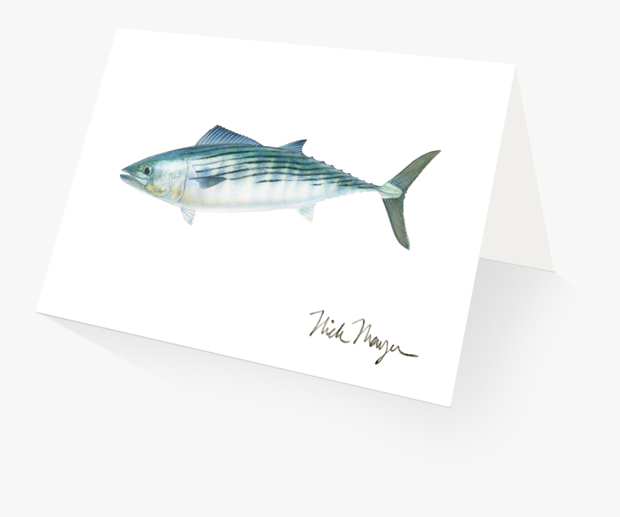 Transparent Dr Seuss Fish Clipart Black And White - Striper Bass, Transparent Clipart