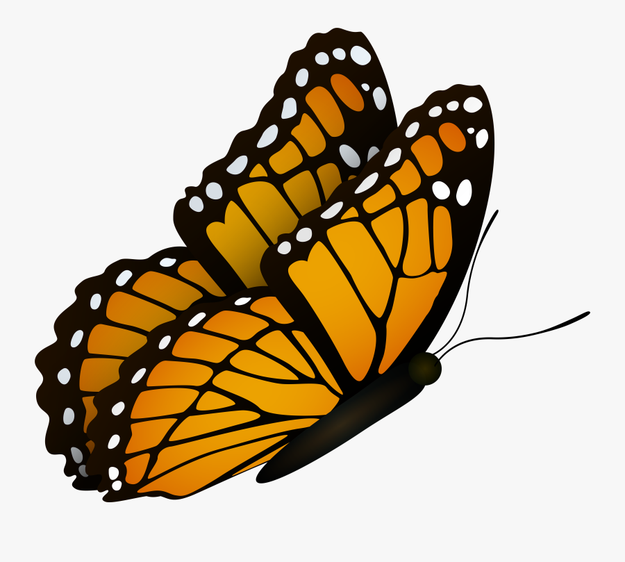 Butterfly Clipart Flying, Transparent Clipart