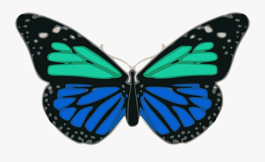Butterfly, Transparent Clipart