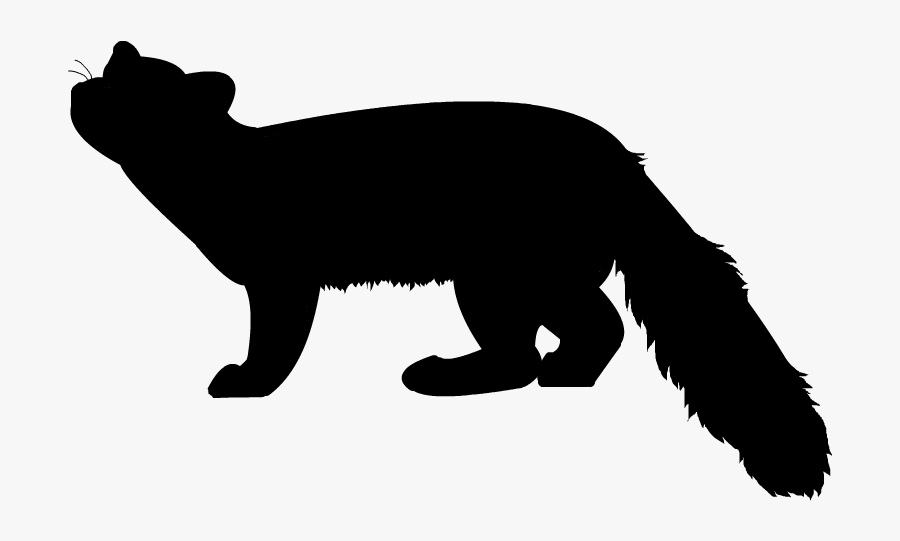 Marten - Clipart - - Pine Marten Marten Silhouette, Transparent Clipart