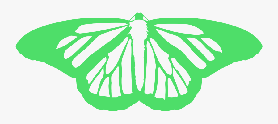 Black And White Monarch Butterfly Photography, Transparent Clipart