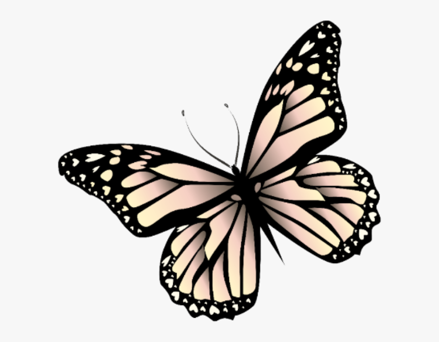 #butterfly #mariposa #monarch #monarca #nature #naturaleza - Monarch Butterfly Sticker Pink, Transparent Clipart