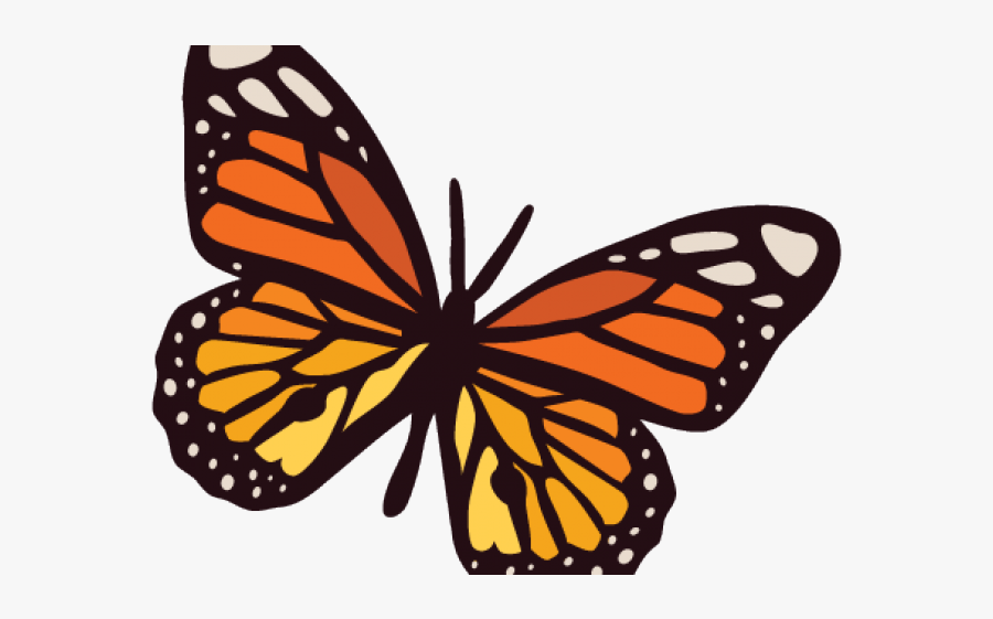 Monarch Butterfly Blank Background, Transparent Clipart