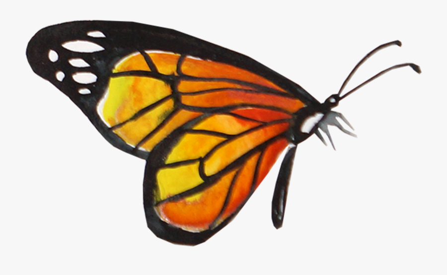 Creative Watercolor Butterfly - Monarch Butterfly Transparent Background, Transparent Clipart