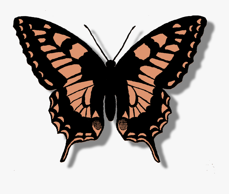 The Graphics Monarch Free - Butterfly With Tail Drawing, Transparent Clipart