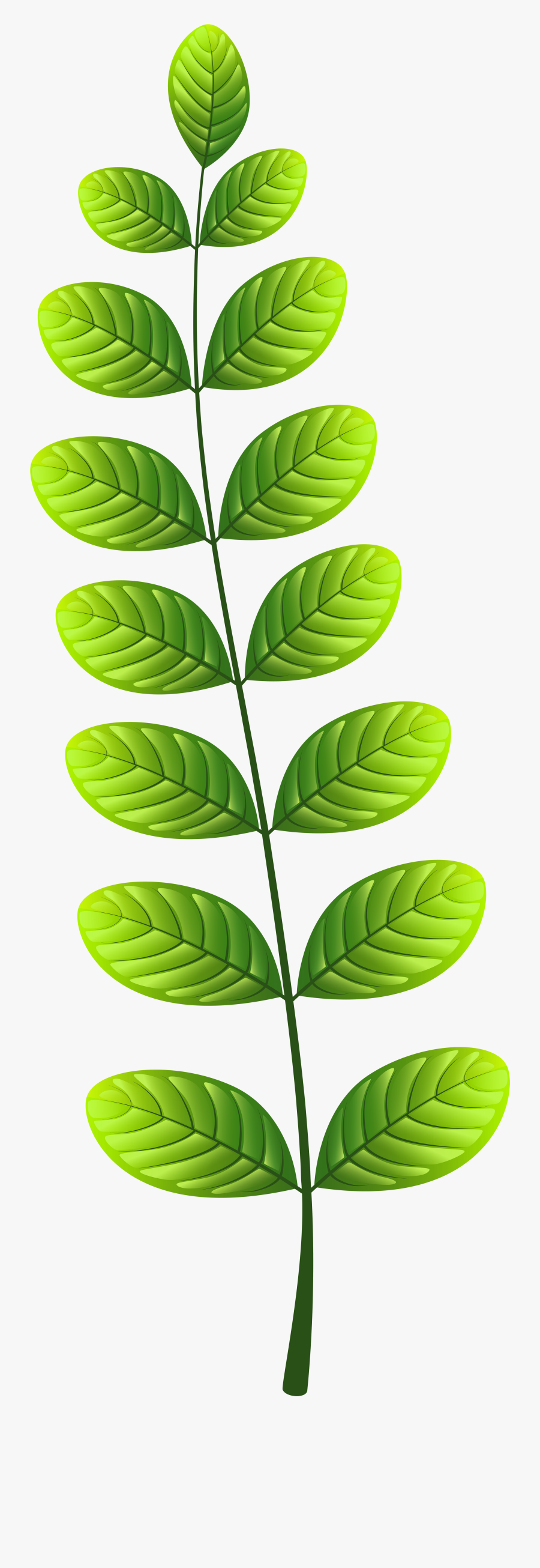 Leaf Png Clip Ar, Transparent Clipart