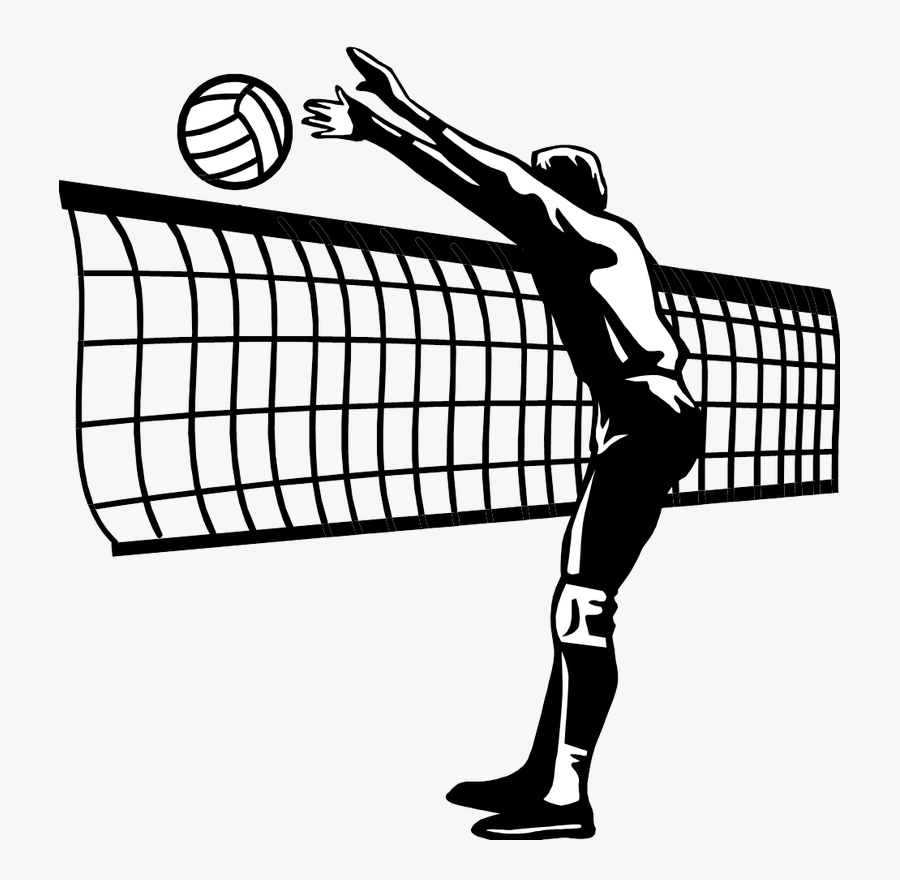 Florida Gators Women"s Volleyball A1 Ethniki Volleyball - Volleyball Net Clipart Transparent Background, Transparent Clipart