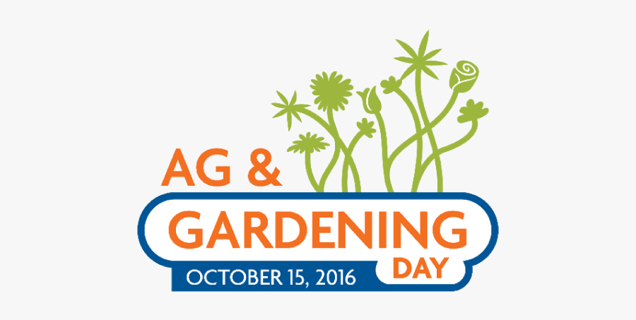 Graphic Design, Transparent Clipart