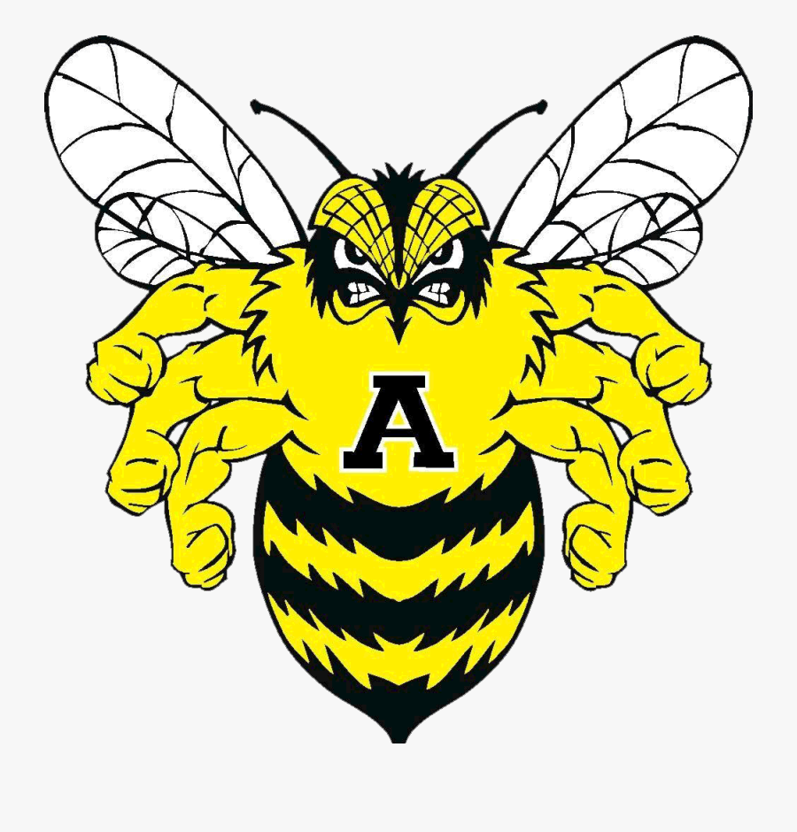 Little River Academy Bumblebees, Transparent Clipart