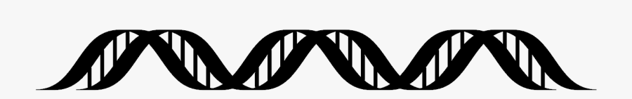 Line Art, Transparent Clipart