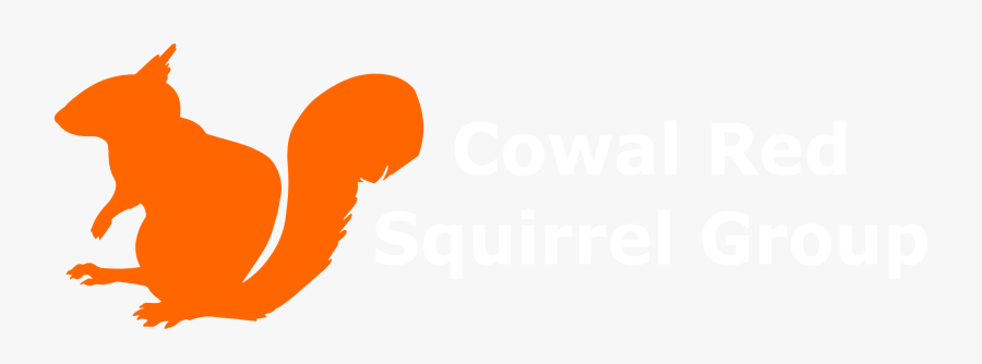 Marten Clipart Friend - Red Squirrel Logo, Transparent Clipart
