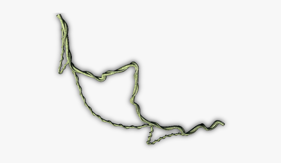 Jungle Vine Png, Transparent Clipart