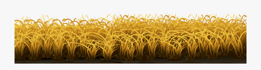 Transparent Wheat Png - Portable Network Graphics, Transparent Clipart