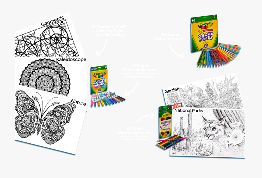 Clip Art Color Escapes Adult Coloring - Sketch, Transparent Clipart