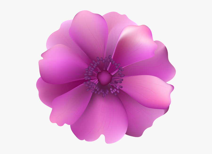 Portable Network Graphics, Transparent Clipart