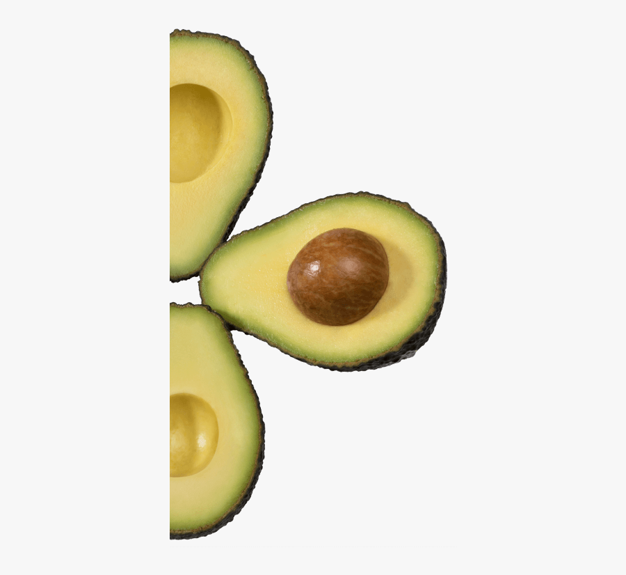 Transparent Avacado Clipart - Avocado History, Transparent Clipart