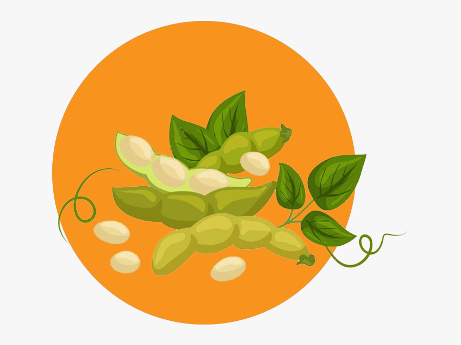 Souya-been, Transparent Clipart