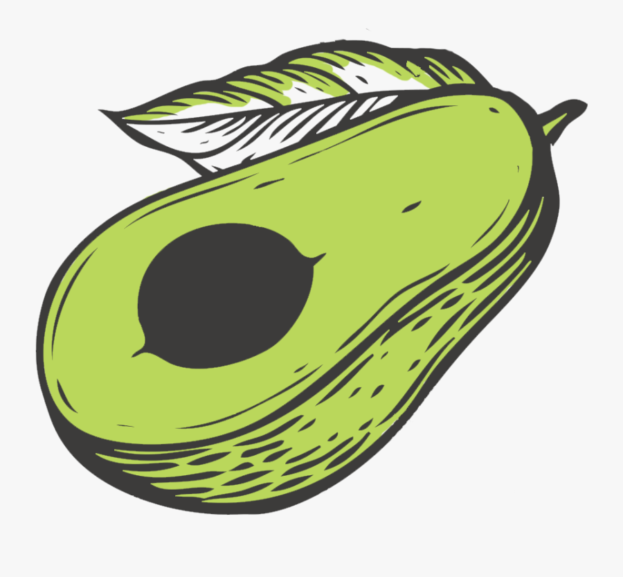 Avocado Clipart , Png Download, Transparent Clipart
