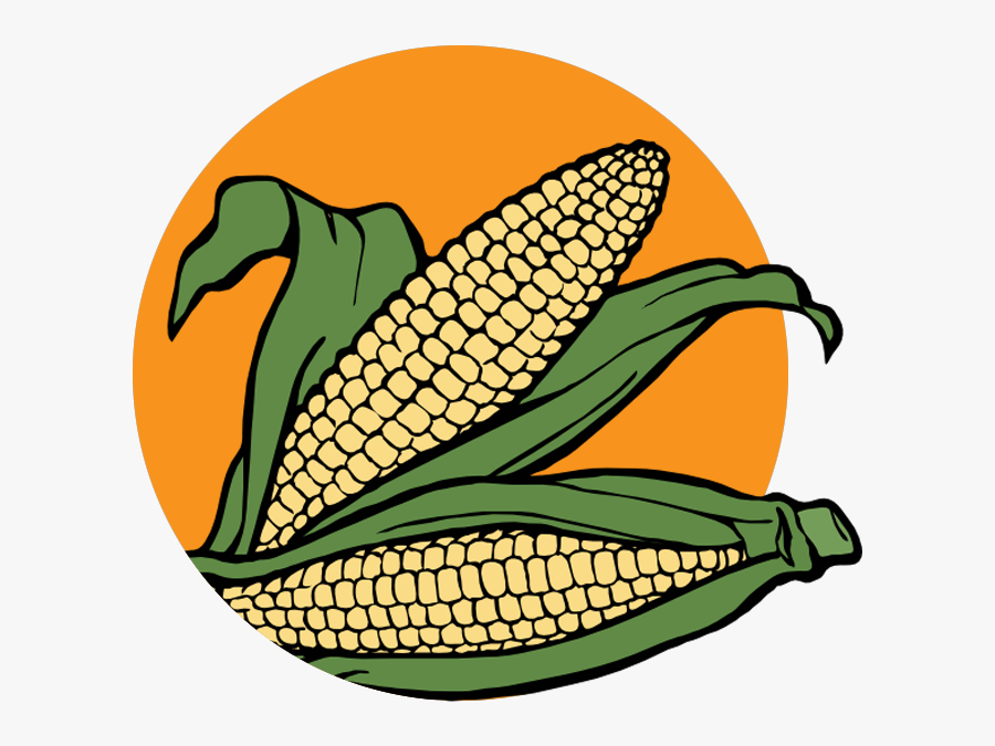 Corn - Ears Of Corn Clipart, Transparent Clipart