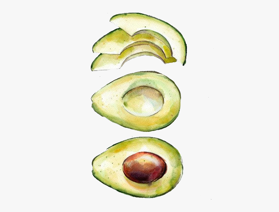 Avocado Drawing - Avocado Watercolor Painting, Transparent Clipart