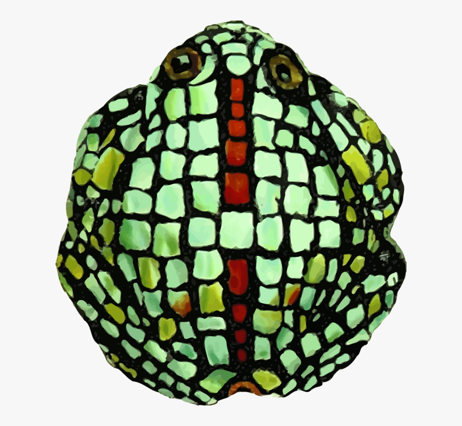 Tortoise Clipart Frog - Tortoise, Transparent Clipart