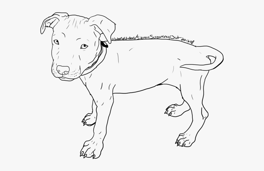 Drawn Pitbull American Pitbull - Old English Terrier, Transparent Clipart