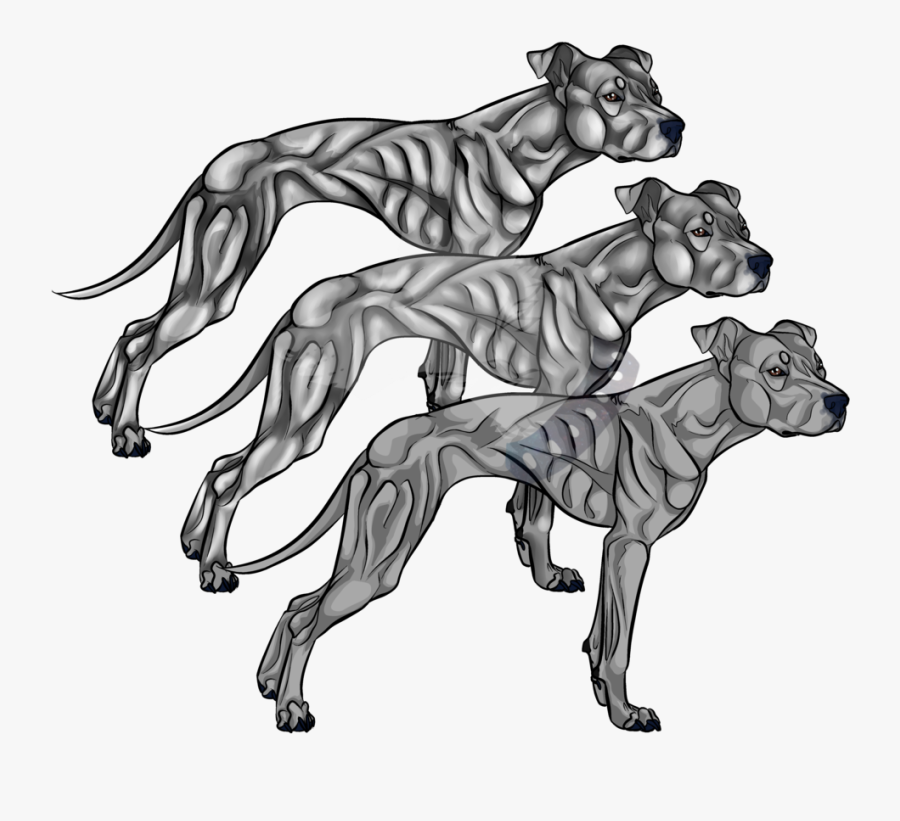 American Pit Bull Terrier Line Art Drawing - Pitbull Deviantart, Transparent Clipart