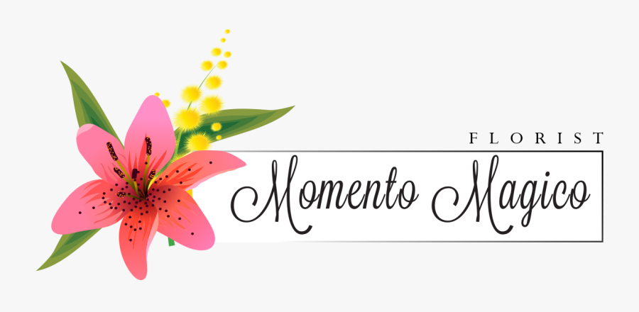 Florist Online - Tiger Lily, Transparent Clipart