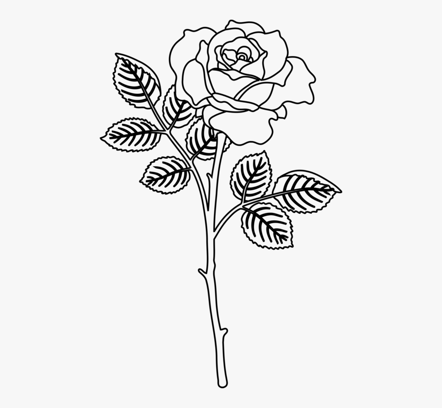 Flower Design Drawing Rose, Transparent Clipart