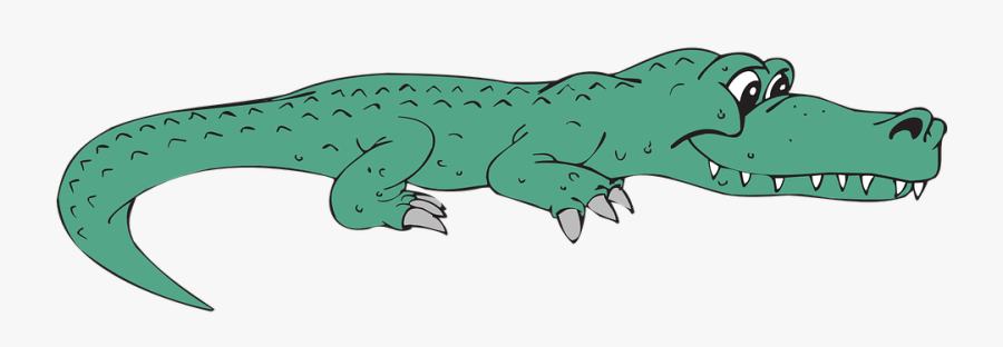 Alligator Transparent Background, Transparent Clipart