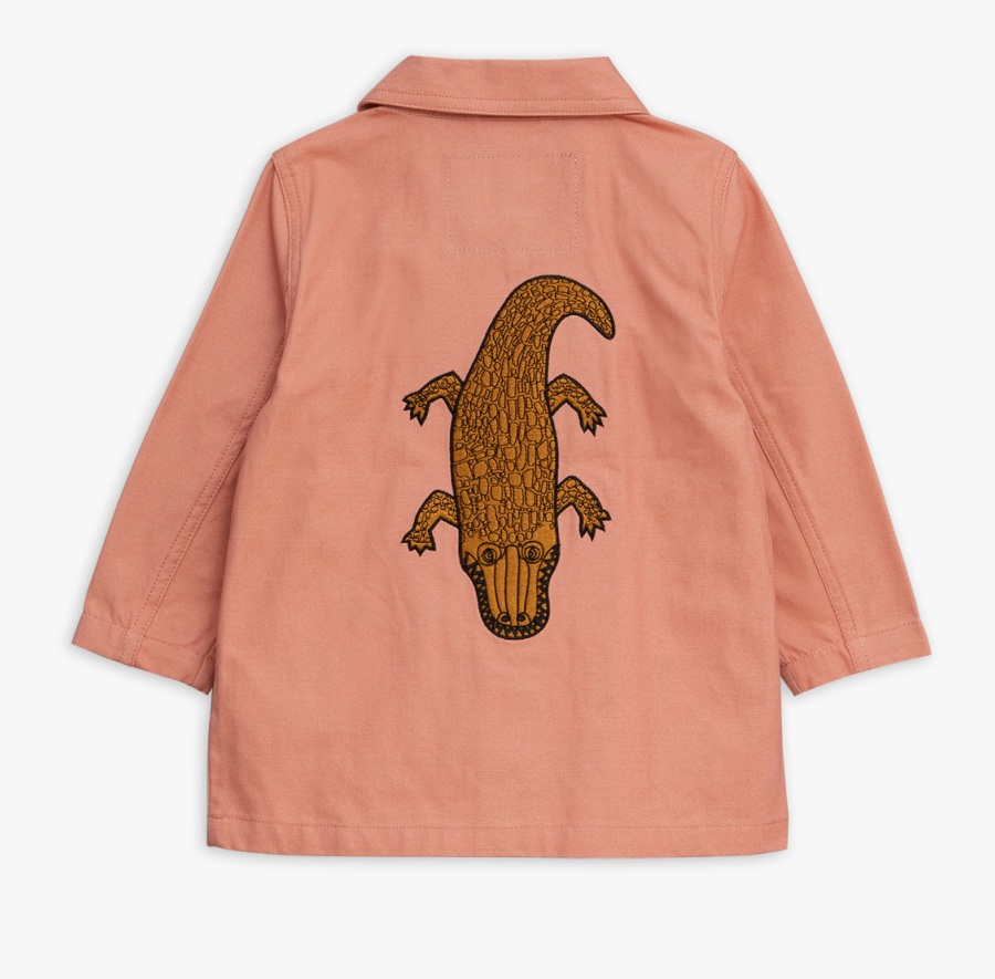 Alligator - Crocodile, Transparent Clipart