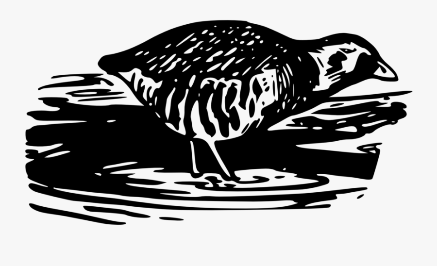 Sora Rail 2 - Sora, Transparent Clipart