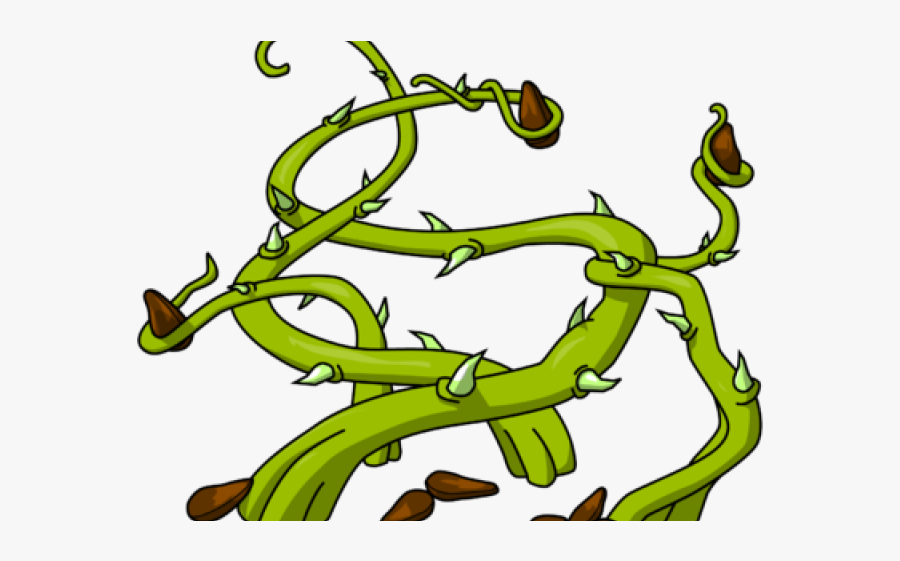 Seeds In Thorns, Transparent Clipart