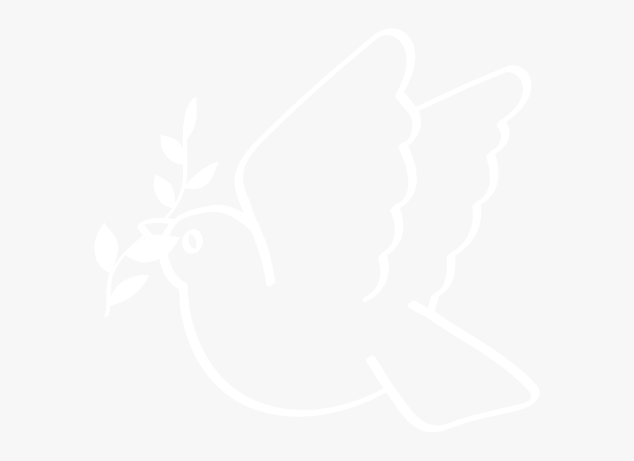 Transparent Christian Dove Png - Illustration, Transparent Clipart