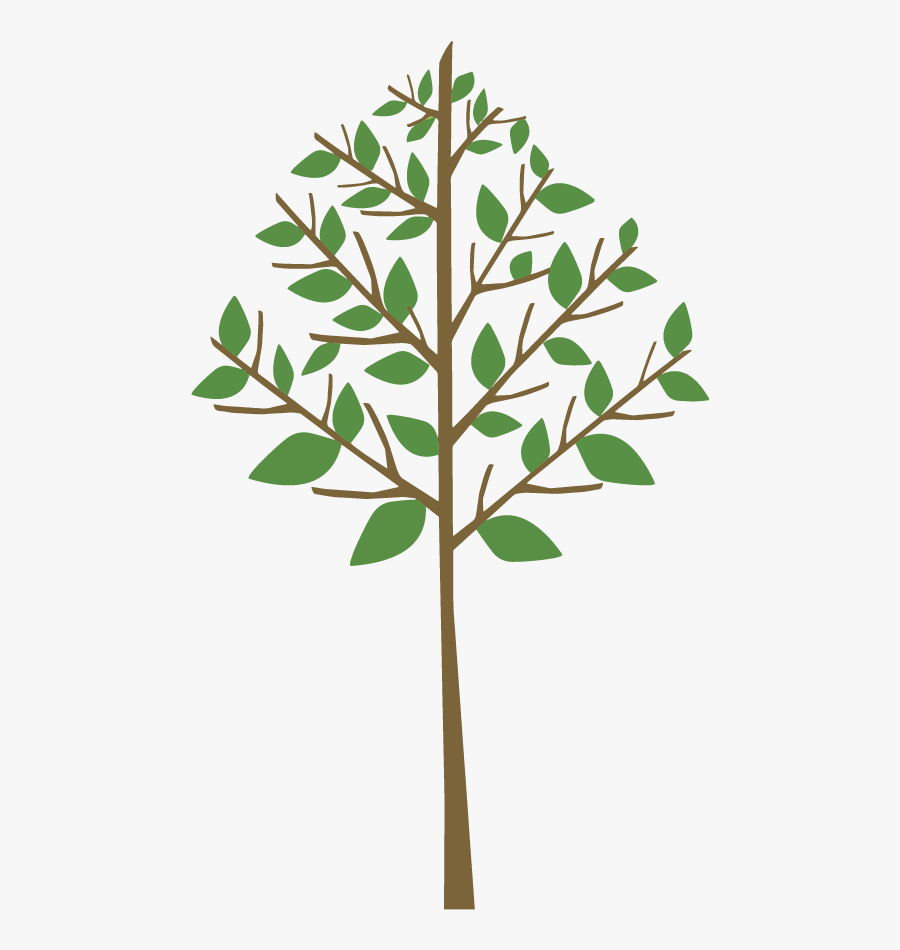 Green Background, Transparent Clipart