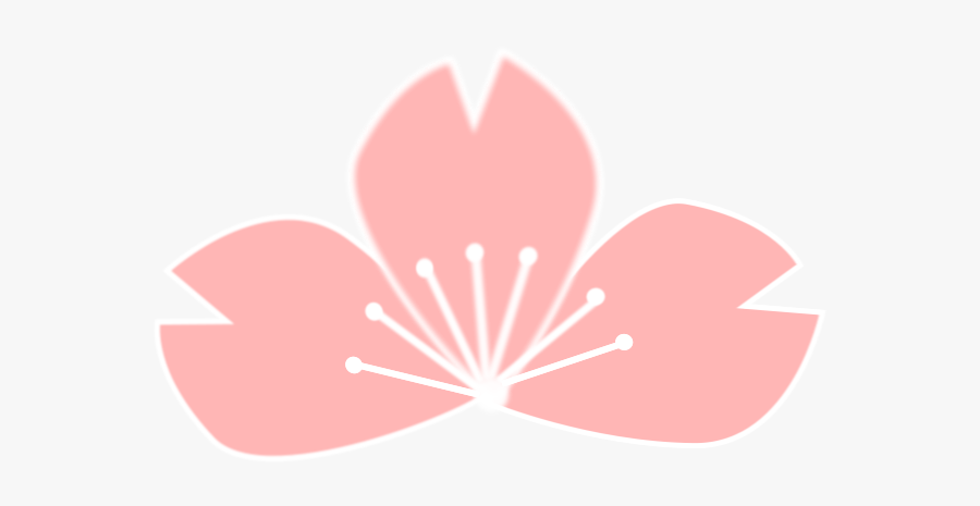 Sakura - เวก เตอร์ ดอก ซากุระ, Transparent Clipart